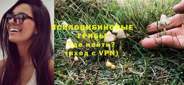 винт Белокуриха