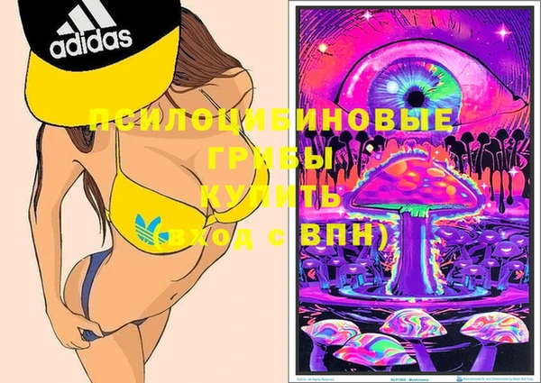 винт Белокуриха