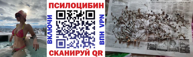 наркотики Эртиль hydra вход Псилоцибиновые грибы ЛСД